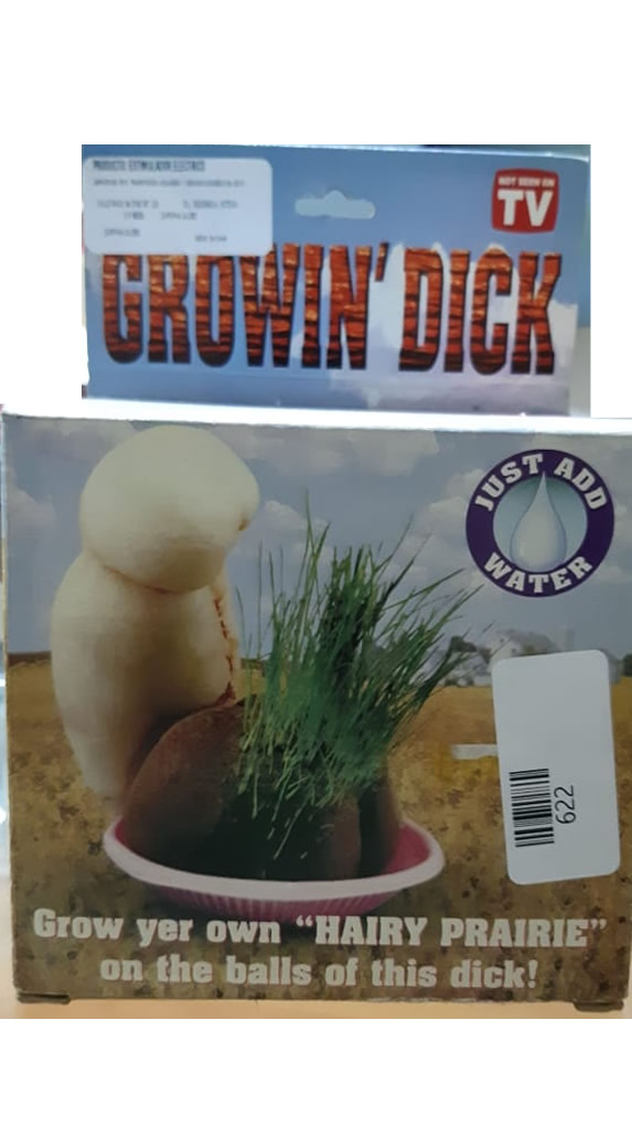 growing dick